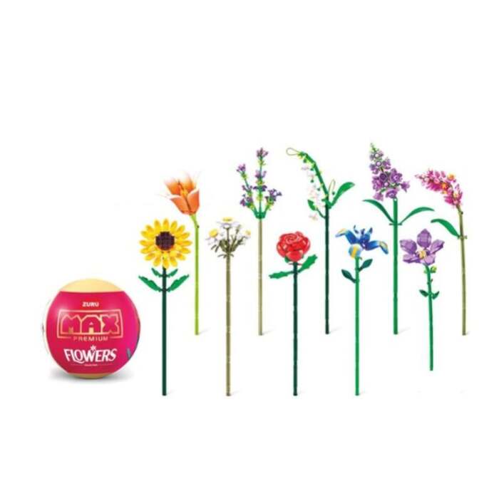 S71018309_1 S71018309_1