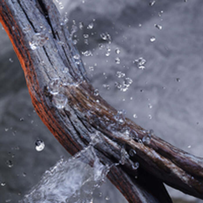 M0112092_9 M0112092_9