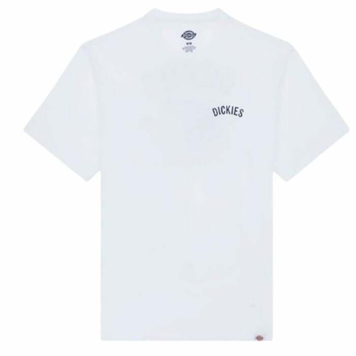 S64189023_0 S64189023_0