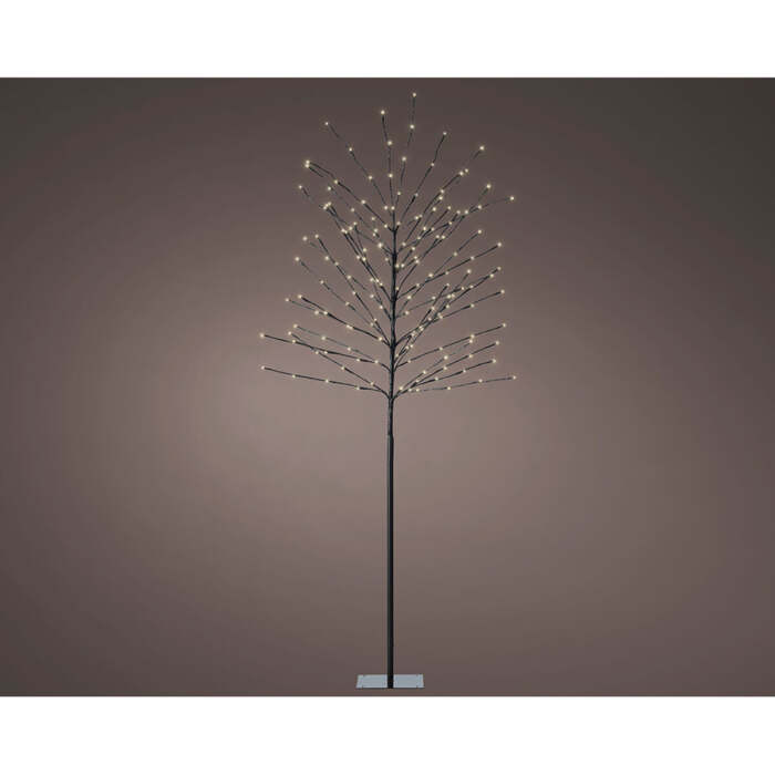 S7929322_1 S7929322_1