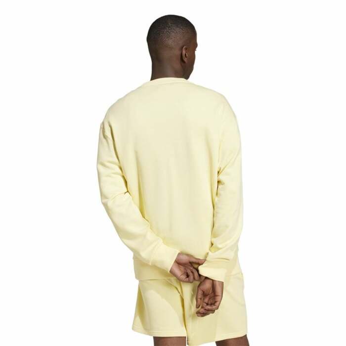 S64176203_2 S64176203_2