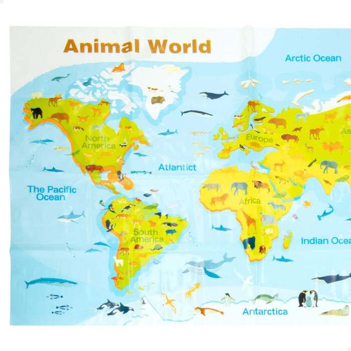 S8907236_3 S8907236_3