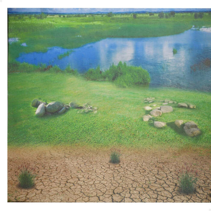 S8907244_3 S8907244_3