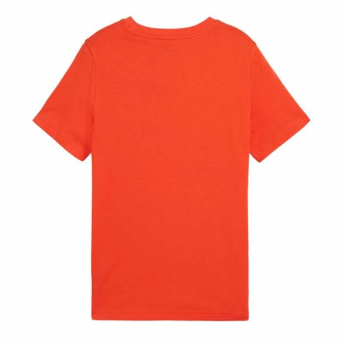 S64166178_1 S64166178_1