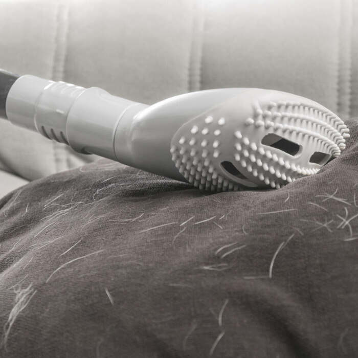 V0100985_1 V0100985_1