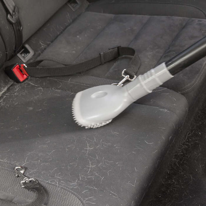 V0100985_2 V0100985_2