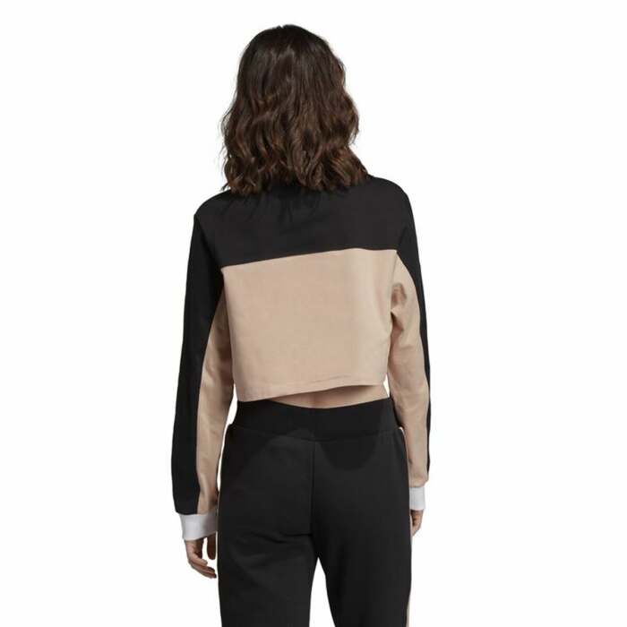 S6496566_5 S6496566_5