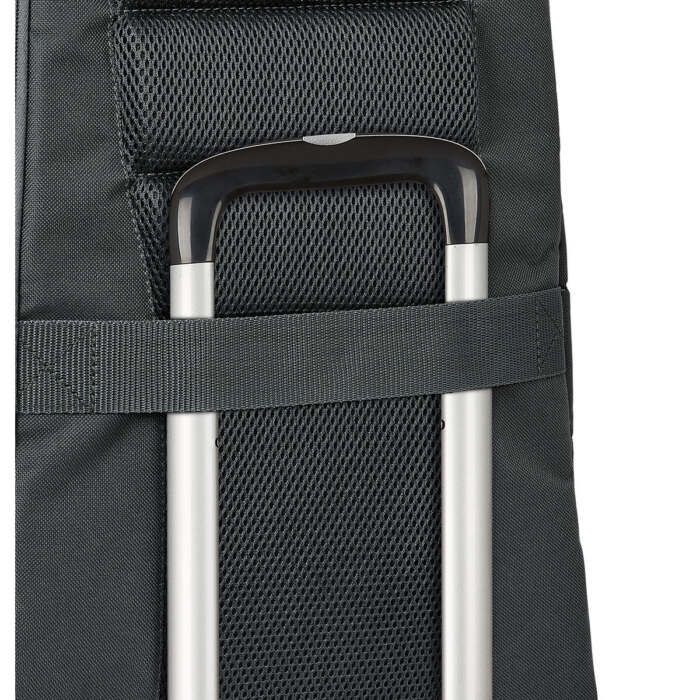 S4308833_4 S4308833_4