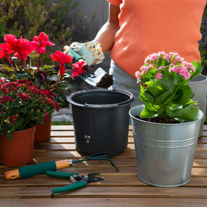 V0103836_1 V0103836_1