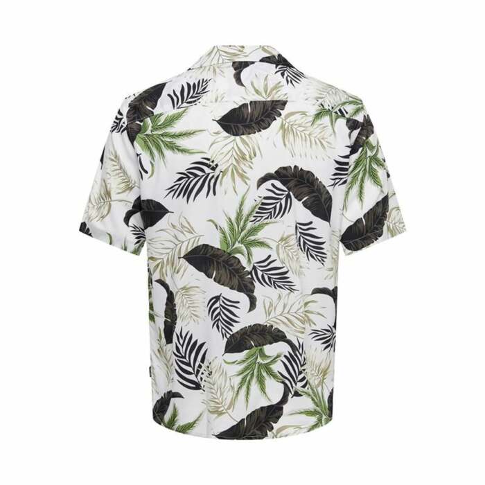 S64123793_1 S64123793_1