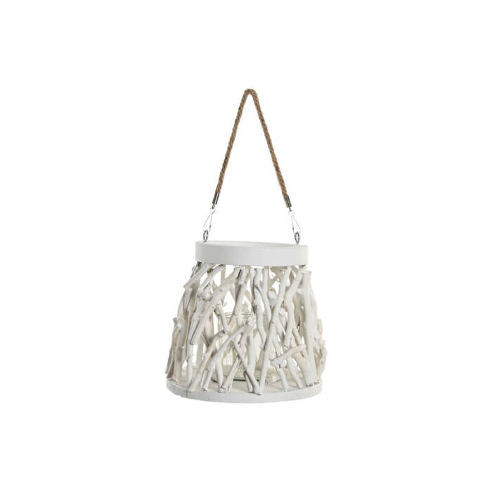 S3061444_2 S3061444_2