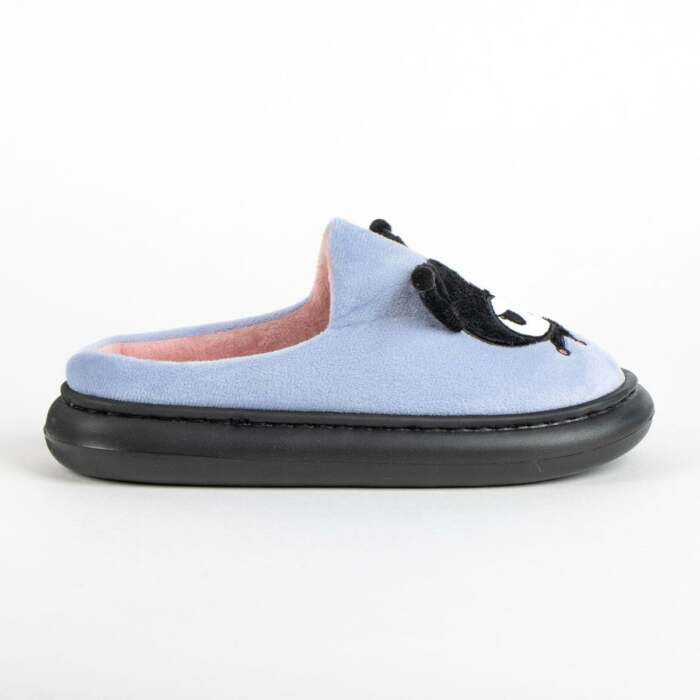 S2460704_2 S2460704_2