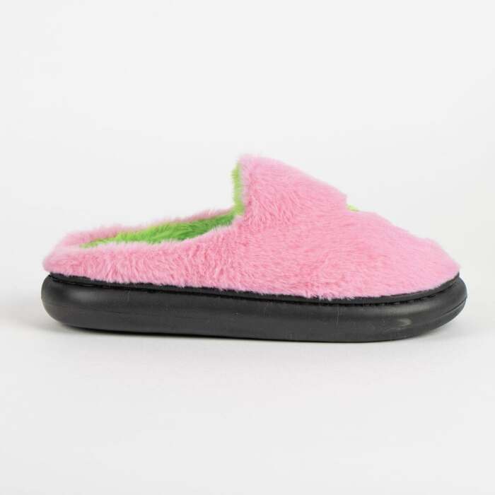 S2460705_2 S2460705_2