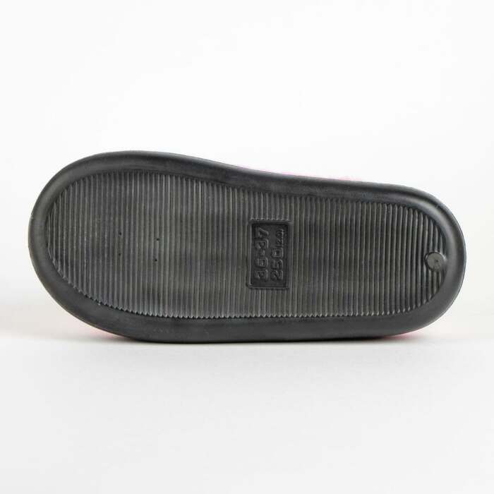 S2460705_6 S2460705_6