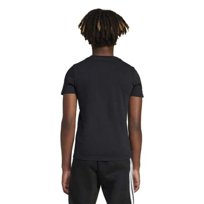 S64205024_2 S64205024_2