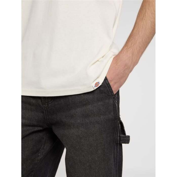 S64216644_6 S64216644_6