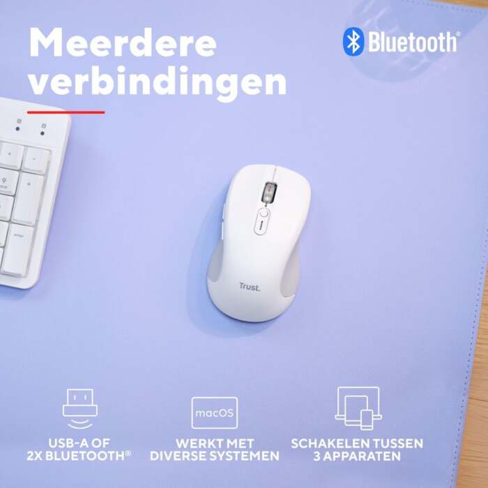 S55316586_11 S55316586_11