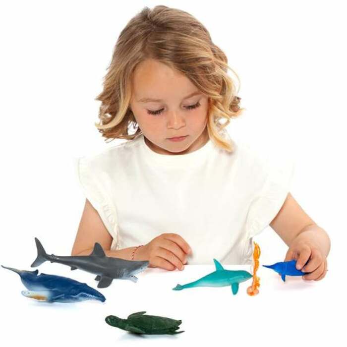 S2441566_2 S2441566_2