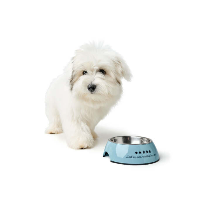 S6105148_1 S6105148_1