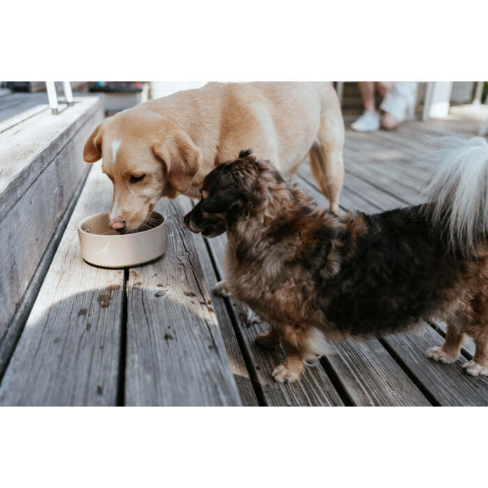 S6105162_2 S6105162_2