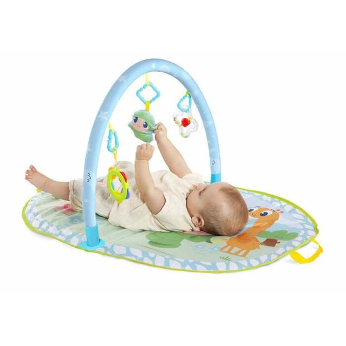 S2455991_0 S2455991_0