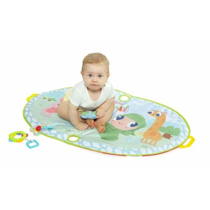 S2455991_1 S2455991_1