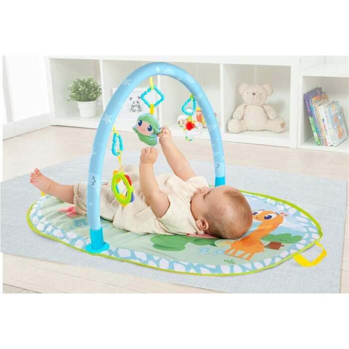 S2455991_2 S2455991_2