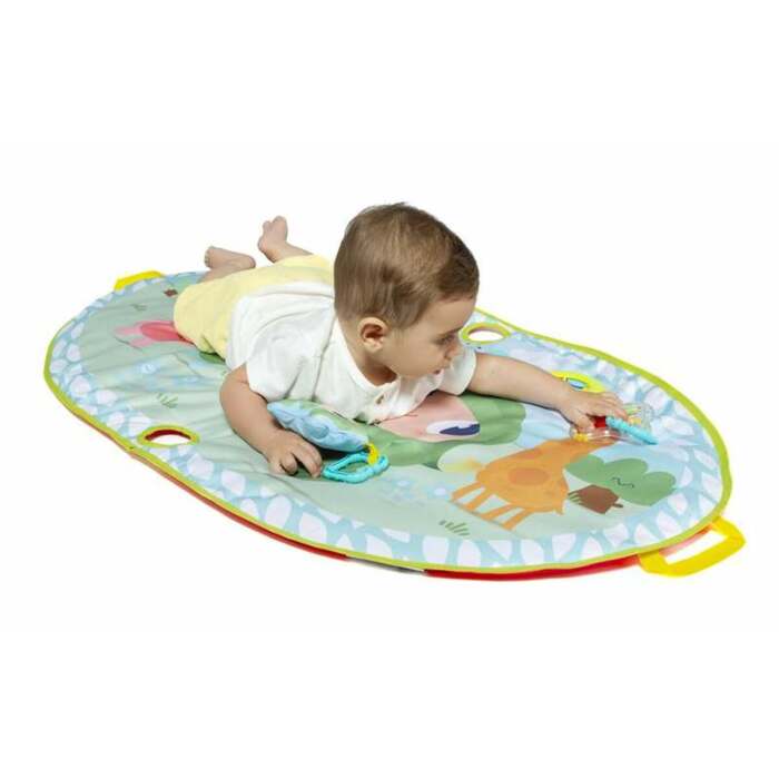 S2455991_6 S2455991_6