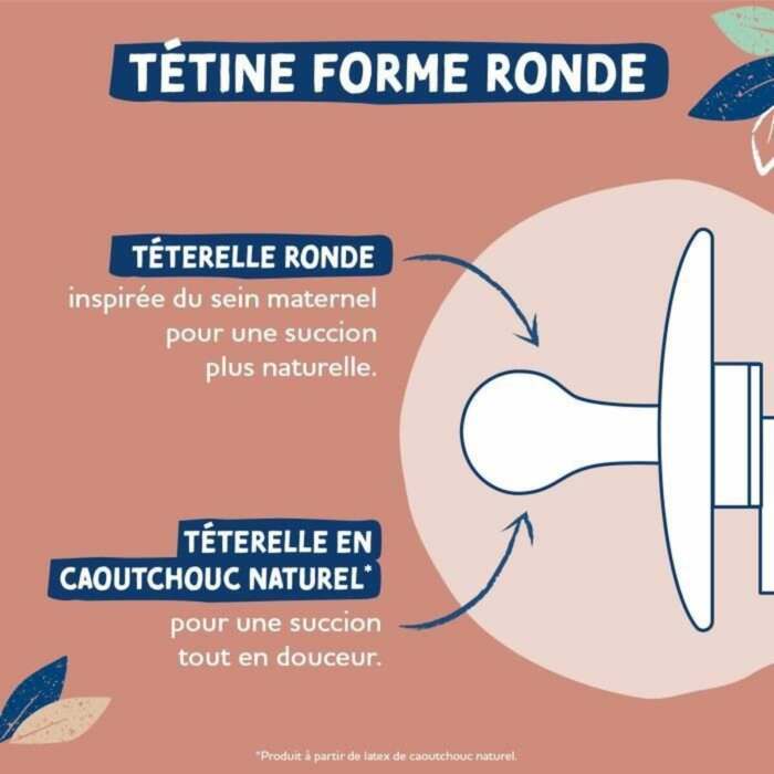 S71016245_2 S71016245_2