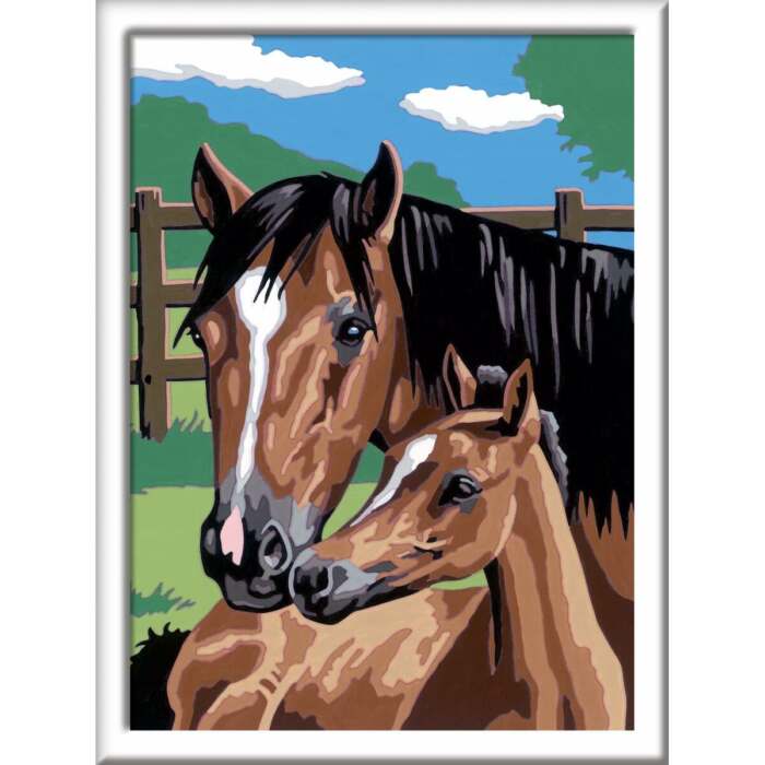 S71024013_1 S71024013_1