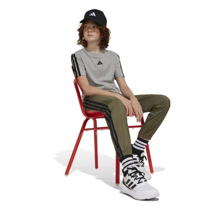 S64205049_2 S64205049_2