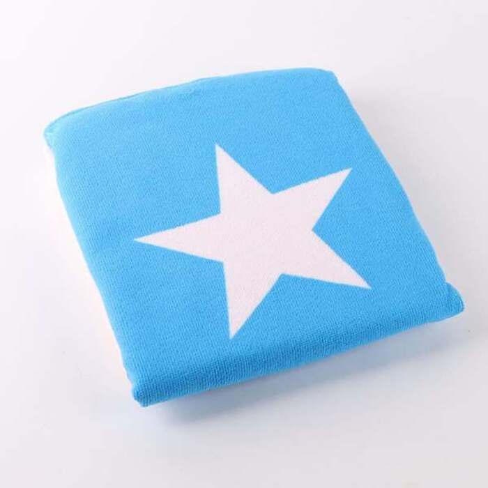 S2463593_2 S2463593_2