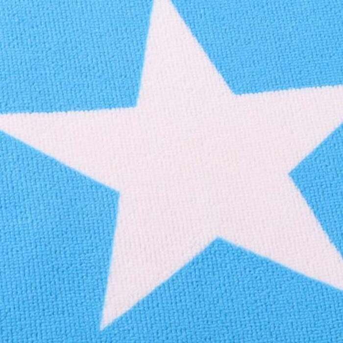 S2463593_3 S2463593_3